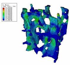 強(qiáng)度分析