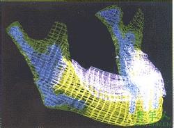 ����Ԫ����