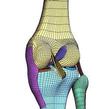 ����Ԫ����