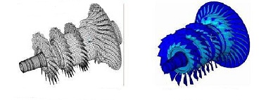 ����Ԫ����